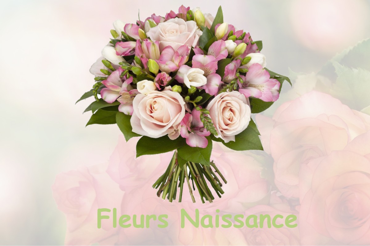 fleurs naissance LA-SELLE-CRAONNAISE