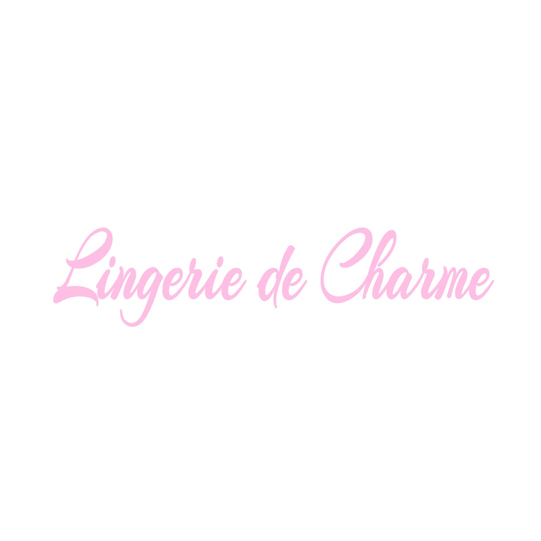 LINGERIE DE CHARME LA-SELLE-CRAONNAISE